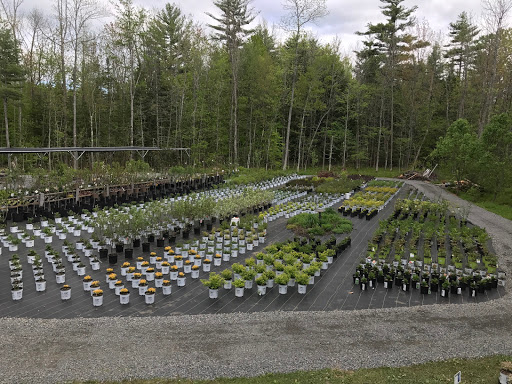 Beyond Your Garden - Plant & Perennial Nursery, Flower Sales, Garden Center in Broadalbin NY image 1