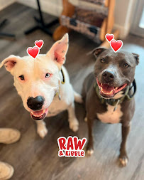 Raw and Kibble Miami Lakes Pet supply store - Photo 6 - Car repair in Miami Lakes, FL, Hialeah