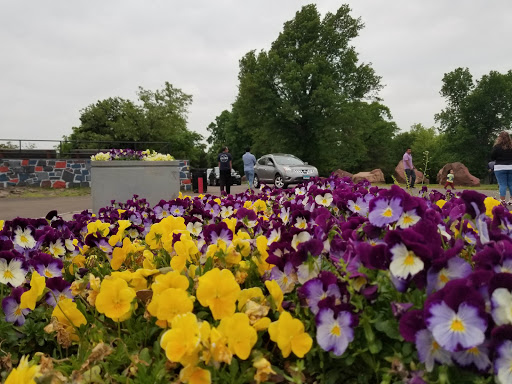 Park «East Rock Park», reviews and photos, 41 Cold Spring St, New Haven, CT 06511, USA