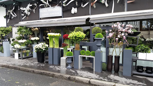 Franck Hernandez Florist Lyon