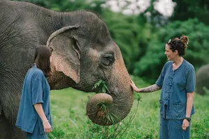 Lanta Elephant Sanctuary image
