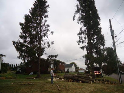 Tree Works Tree Service