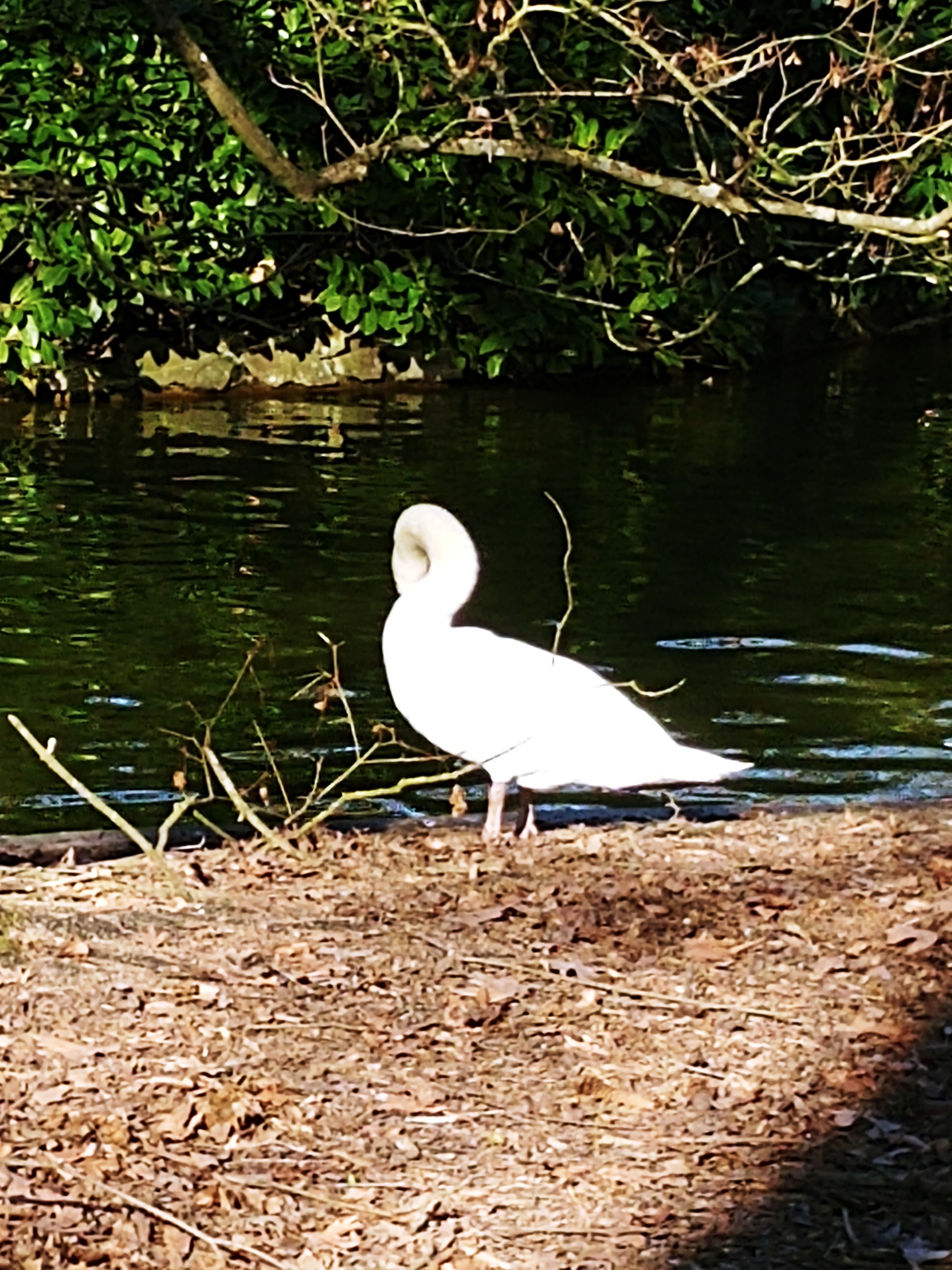 Photo n° 1 de l'avis de EMAELGY. fait le 04/03/2019 à 15:12