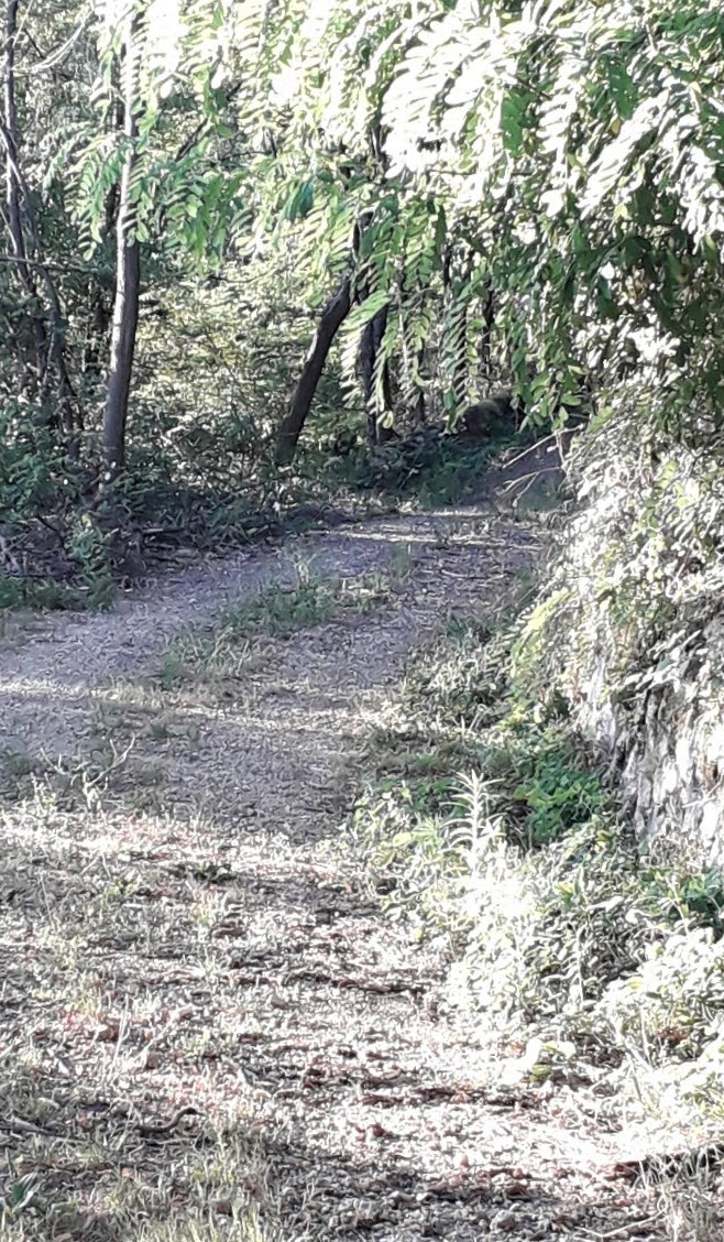 Photo n° 3 de l'avis de Cyril.A fait le 02/08/2020 à 13:00