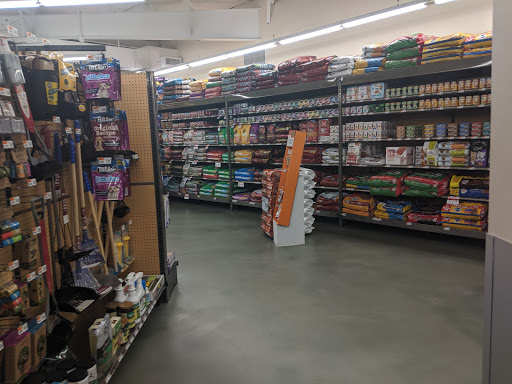 Pet Supply Store «Pet Supplies Plus», reviews and photos, 7467 St Andrews Rd, Irmo, SC 29063, USA