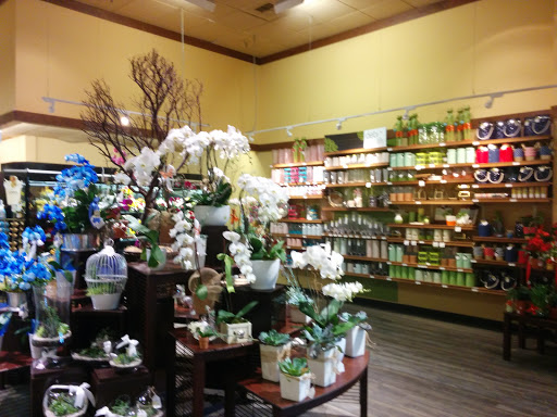 Department Store «Vons», reviews and photos, 130 W Foothill Blvd, Monrovia, CA 91016, USA