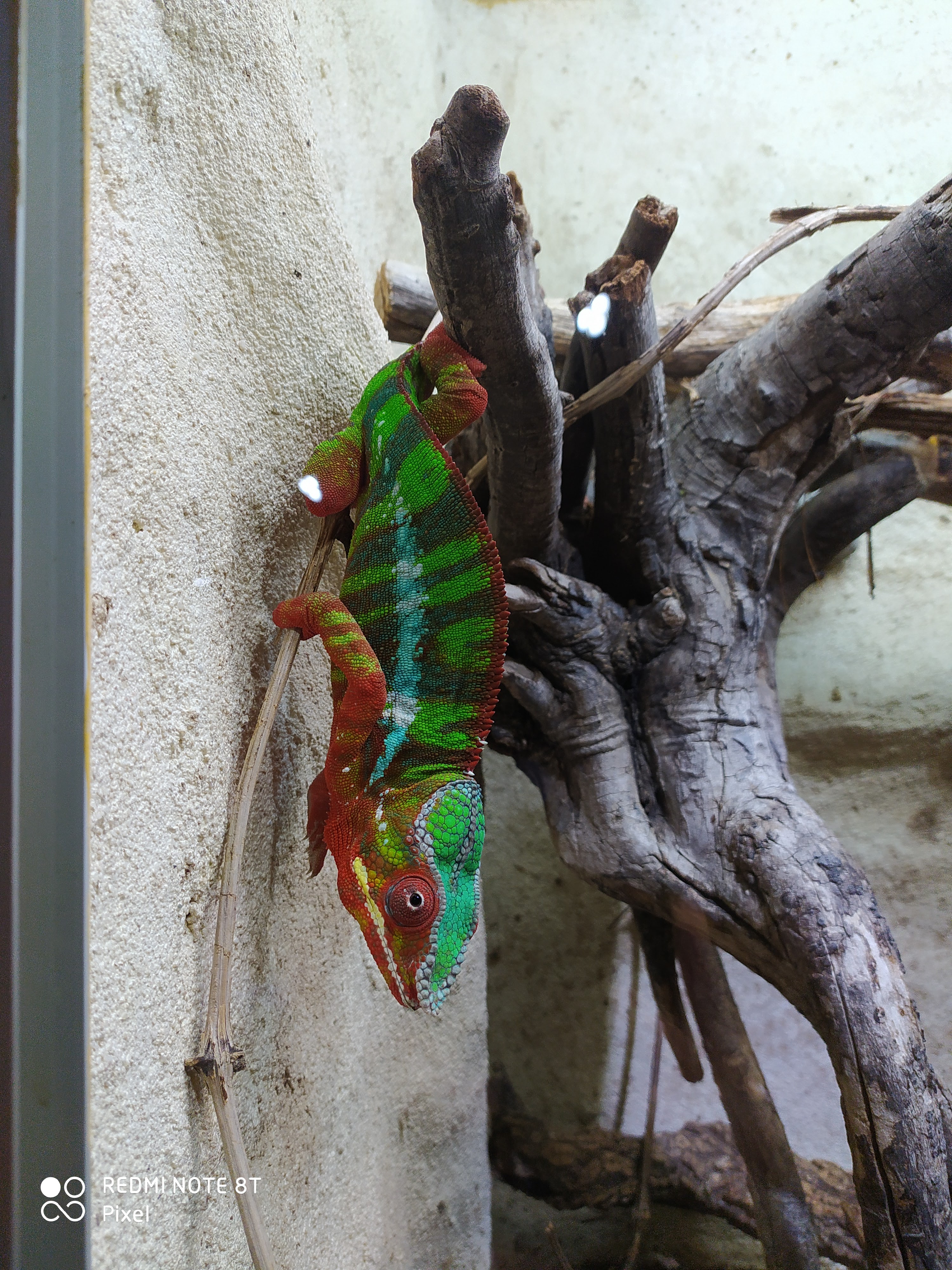 Photo n° 2 de l'avis de Carriere.a fait le 21/09/2020 à 09:40