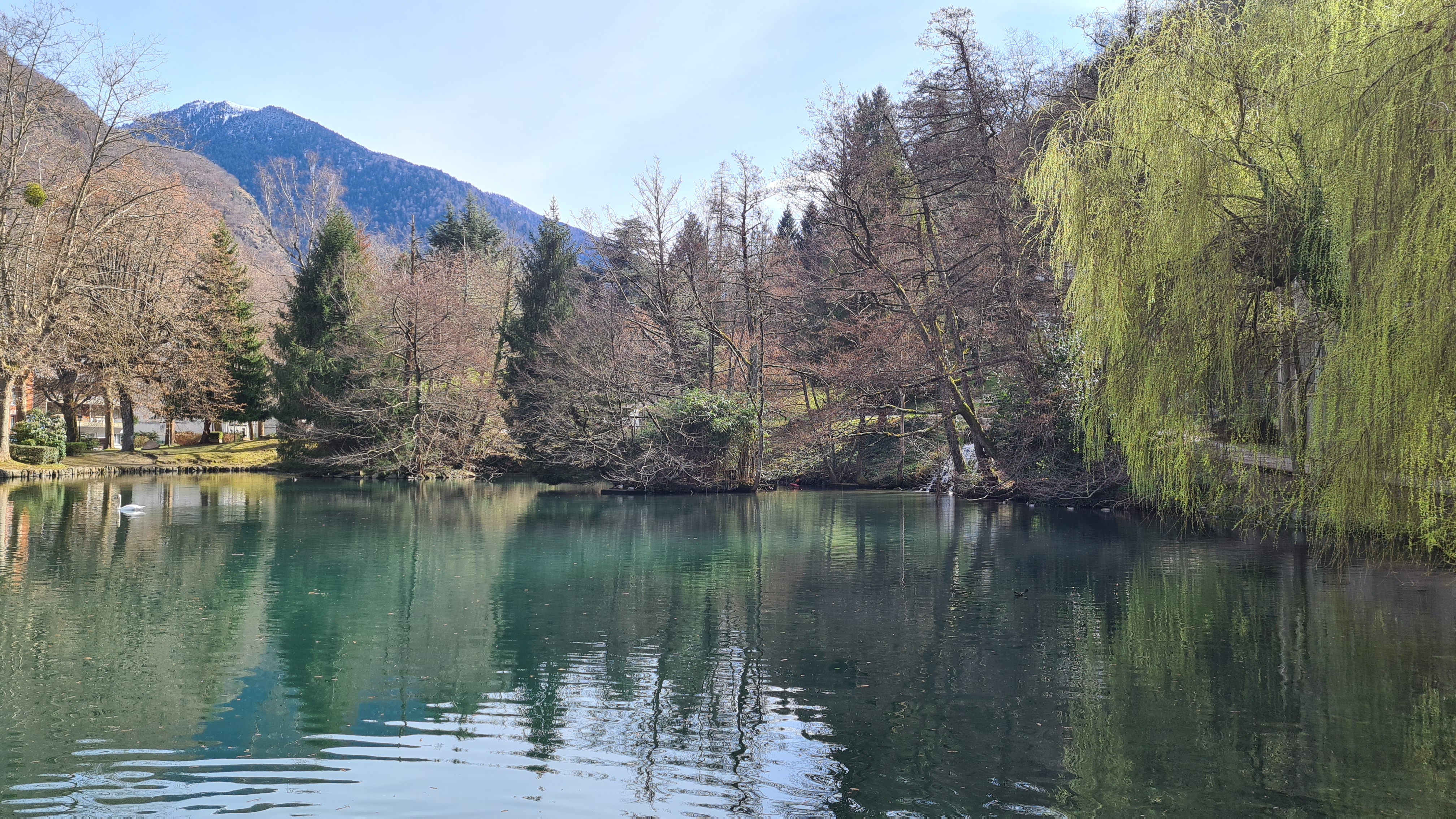 Photo n° 4 de l'avis de Eric.a fait le 14/03/2022 à 14:27