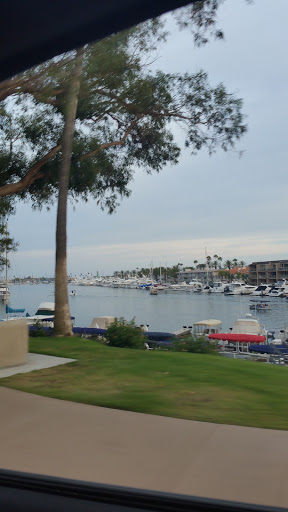 Shoe Store «Shoe City Newport Surf», reviews and photos, 1941 Newport Blvd, Costa Mesa, CA 92627, USA