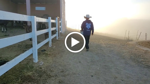 Boxing Gym «Legendz Fitness & Training Center», reviews and photos, 1603 Almaden Rd, San Jose, CA 95125, USA