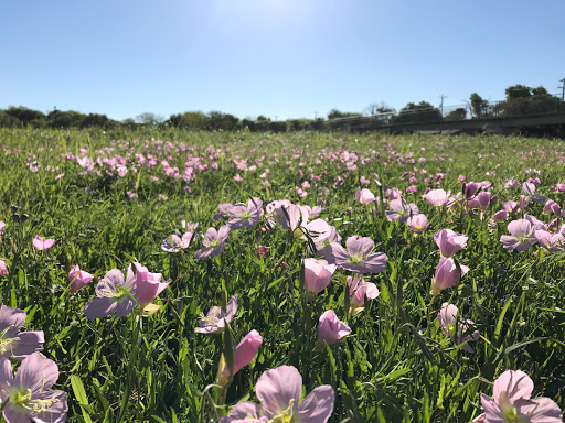 Park «Gilbert Garza Park», reviews and photos, 1450 Mira Vista, San Antonio, TX 78228, USA