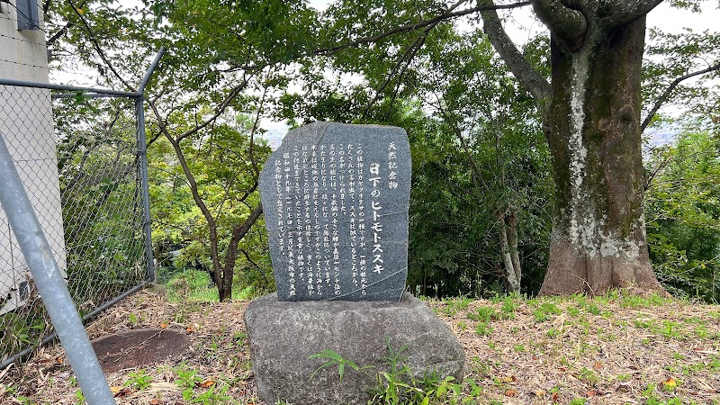日下の天然記念物ヒトモトススキ記念碑