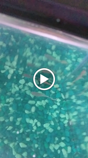 Pet Supply Store «Petco Animal Supplies», reviews and photos, 975 Savannah Hwy #137, Charleston, SC 29407, USA