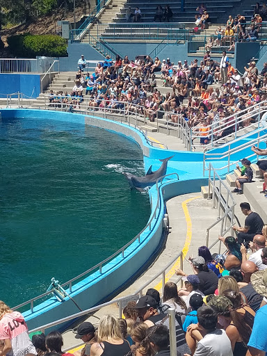 Amusement Park «Six Flags Discovery Kingdom», reviews and photos, 1001 Fairgrounds Dr, Vallejo, CA 94589, USA