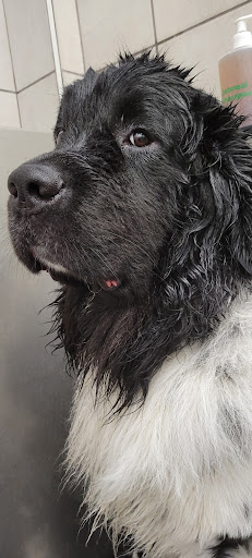 Pet Supply Store «Pet Supplies Plus», reviews and photos, 1411 S Stockton St, Lodi, CA 95240, USA