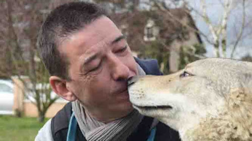 Gilles Delaye ethologue comportementaliste et éducateur canin à Saint-Rémy