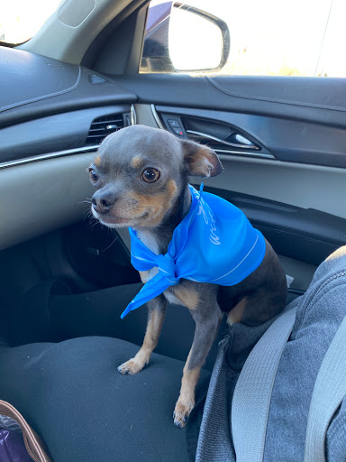 Pet Supply Store «PetSmart», reviews and photos, 132 NJ-31, Flemington, NJ 08822, USA