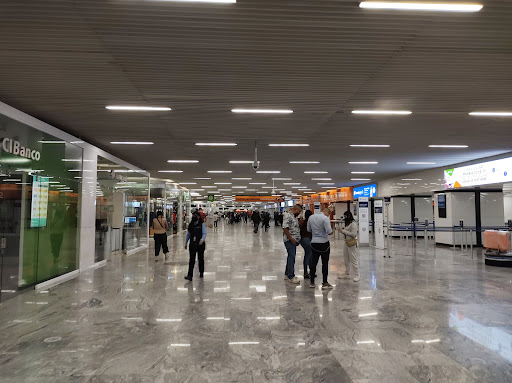 Miguel Hidalgo y Costilla International Airport