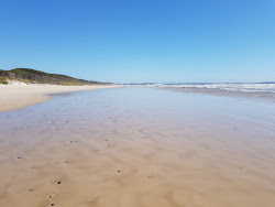 Zdjęcie Ocean Beach położony w naturalnym obszarze