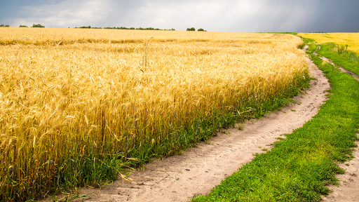 Tire Shop «Valley Tire Center», reviews and photos, 179 W Main St, Woodland, CA 95695, USA