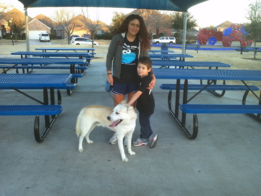 Golf Course «Waterview Golf Club», reviews and photos, 9509 Waterview Pkwy, Rowlett, TX 75089, USA