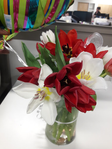 Florist «The Sunflower Florist Inc.», reviews and photos, 1908 Colley Ave, Norfolk, VA 23517, USA