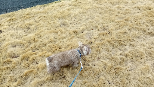 Park «Long Bridge Park», reviews and photos, 475 Long Bridge Drive, Arlington, VA 22202, USA