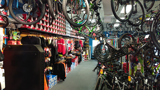 Bicycle Store «All Star Bike Shops Cary», reviews and photos, 1241 Kildaire Farm Rd, Cary, NC 27511, USA