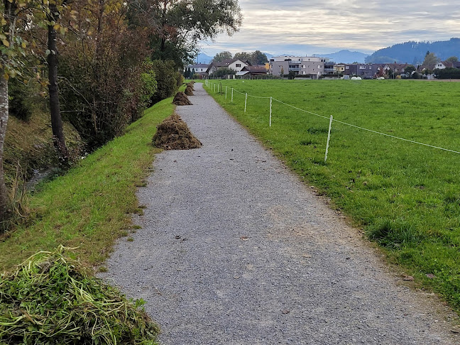 stiftung-sonnenhalde.ch