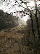 Dirt Trail Savigny-lès-Beaune