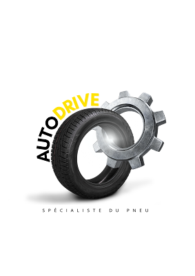 CENTRE AUTO DRIVE à Châlette-sur-Loing