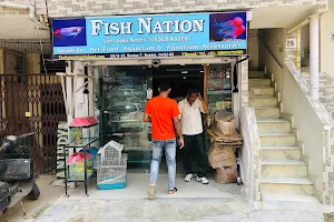 Fish Nation image