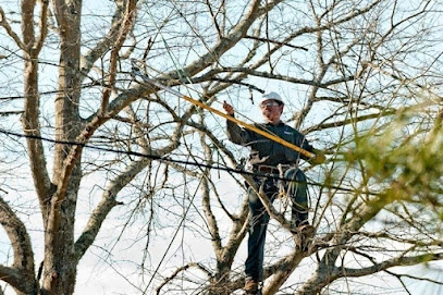 Davey Tree Expert Co of Canada