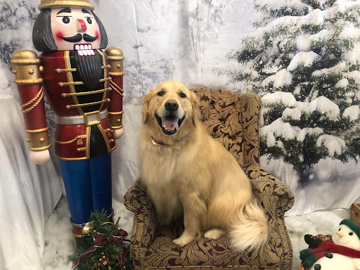 Pet Groomer «All For Paws», reviews and photos, 246 W Manson Hwy #6, Chelan, WA 98816, USA