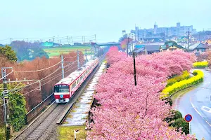 Komatsugaike Park image