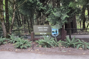 Bridle Trails State Park