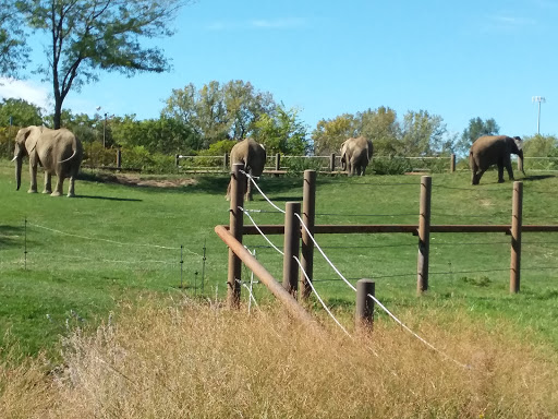 Zoo «Indianapolis Zoo», reviews and photos, 1200 W Washington St, Indianapolis, IN 46222, USA