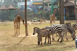 Guangzhou Chimelong Safari Park （Main Gate） image