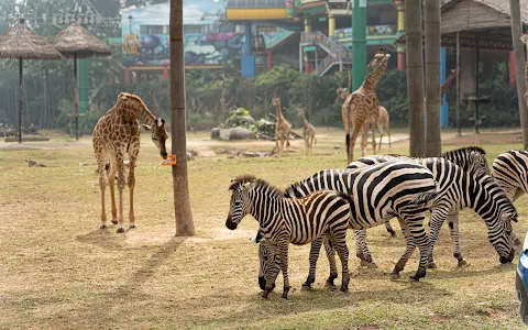 Guangzhou Chimelong Safari Park （Main Gate） image