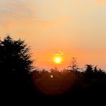 Photo n°4 de l'avis de Paola.i fait le 06/09/2020 à 18:55 sur le  Villa Porro Pirelli à Induno Olona