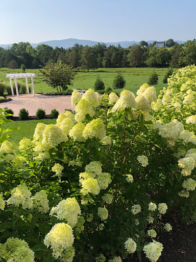 Wedding Venue «The Barn at Walnut Grove», reviews and photos, 12426 Rockingham Pike, Elkton, VA 22827, USA