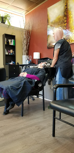 Hair Salon «The Color Lounge Salon», reviews and photos, 894 Orlando Ave SE, Grand Rapids, MI 49546, USA