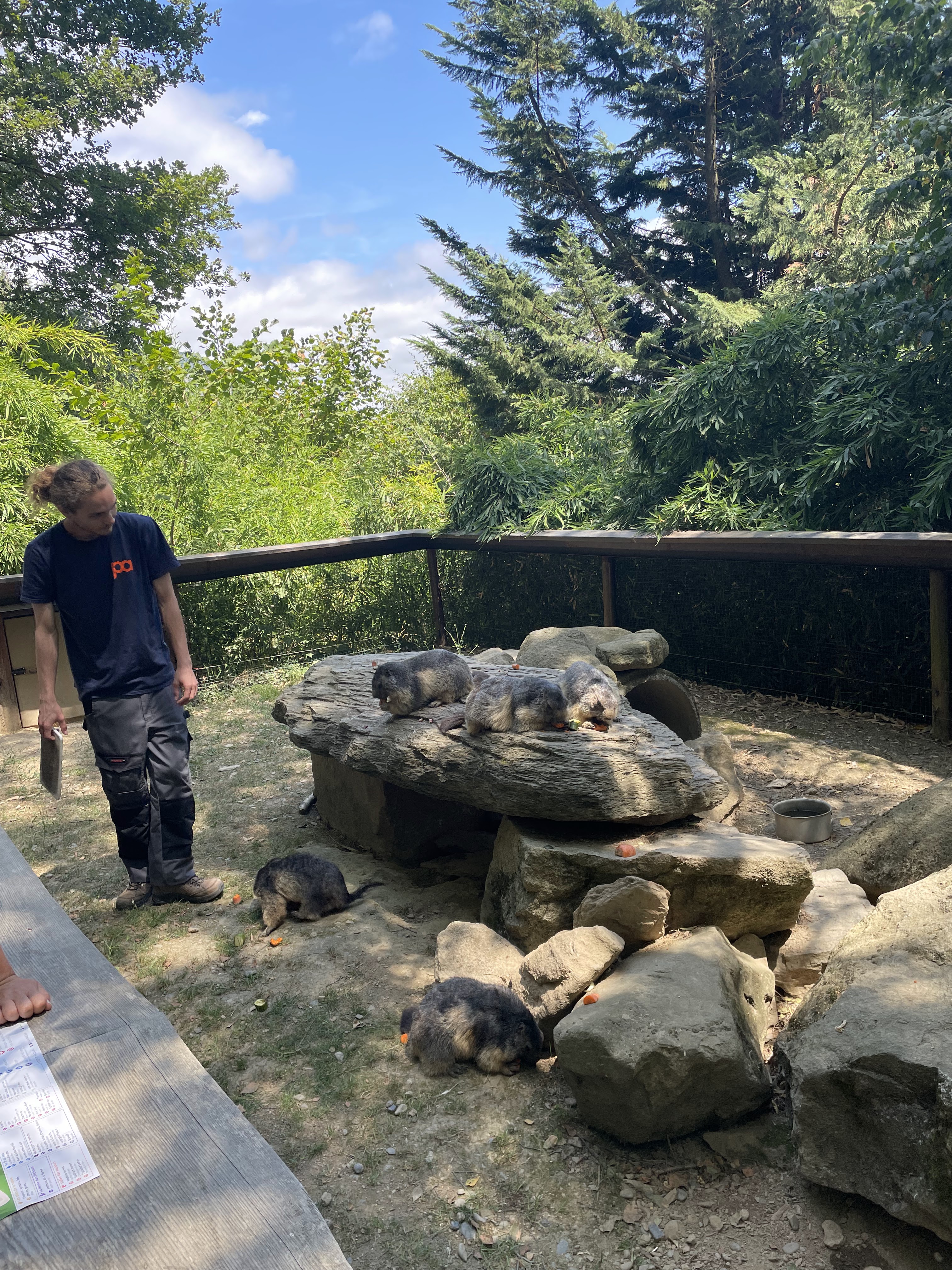 Photo n° 40 de l'avis de Gregory.G fait le 01/08/2022 à 10:31