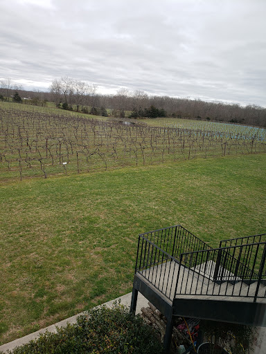Winery «DelMonaco Winery & Vineyards», reviews and photos, 600 Lance Dr, Baxter, TN 38544, USA