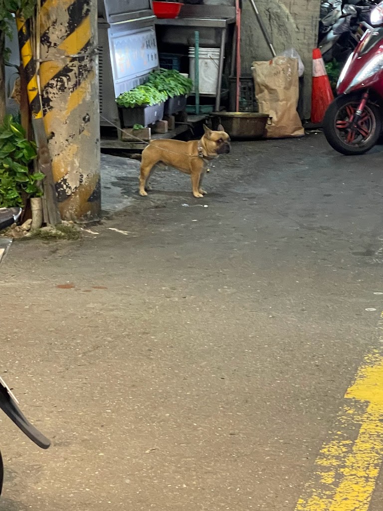 可不可熟成紅茶-高雄路竹店 的照片