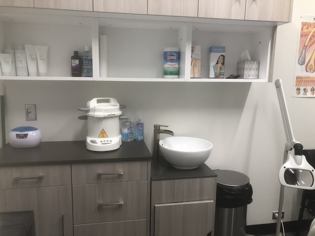 Sandia Electrolysis LLC 20176