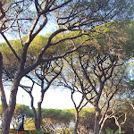 Photo n°4 de l'avis de Aaron.e fait le 19/07/2023 à 14:54 sur le  Malindi Pizzeria Cocktail Bar à Marina di Castagneto Carducci