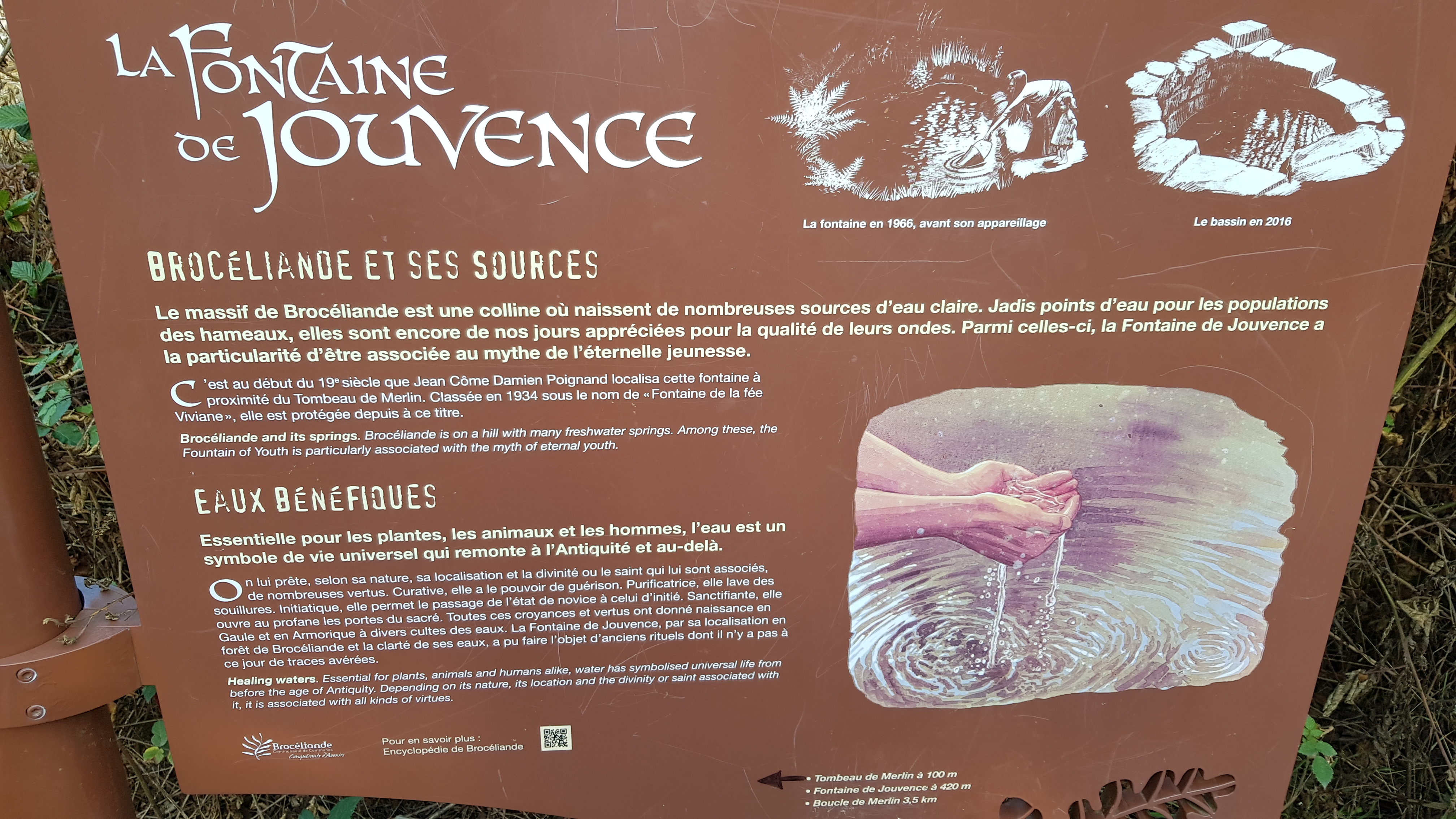 Photo n° 8 de l'avis de JEJE.R fait le 21/08/2020 à 19:04