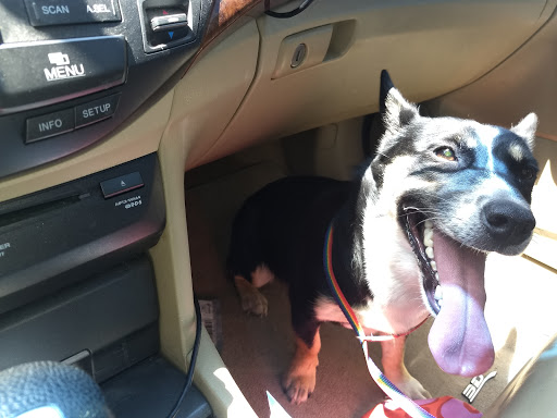 Craft Store «Michaels», reviews and photos, 2717 Market Center Dr, Rockwall, TX 75032, USA