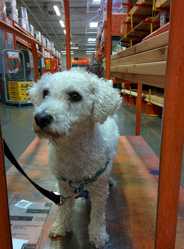 Home Improvement Store «The Home Depot», reviews and photos, 1780 NE Four Acre Pl, Corvallis, OR 97330, USA